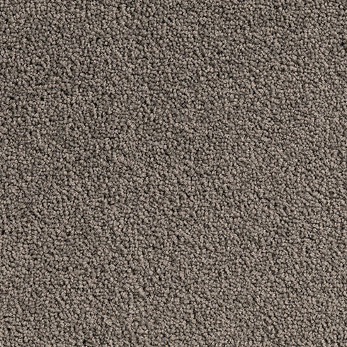 Solution Dyed Nylon, Cut Pile Twist brown carpet swatch in Birdi from Pacific range. 