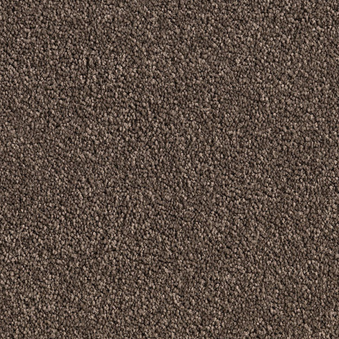 Solution Dyed Nylon, Cut Pile Twist brown carpet swatch in Cedar Plank from Pacific range. 