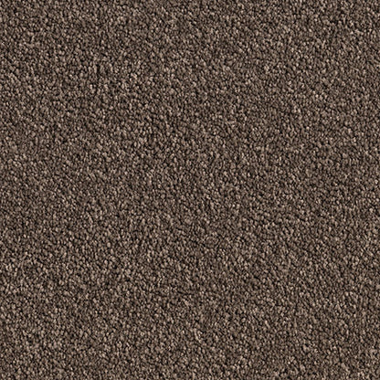 Solution Dyed Nylon, Cut Pile Twist brown carpet swatch in Cedar Plank from Pacific range. 