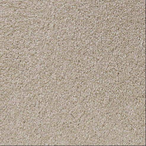 Solution Dyed Nylon, Cut Pile Twist light beige carpet swatch in Evening Haze from Pacific range. 