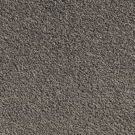 Solution Dyed Nylon, Cut Pile Twist grey carpet swatch in Grey from Pacific range. 