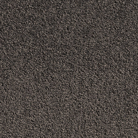 Solution Dyed Nylon, Cut Pile Twist grey carpet swatch in Mole Grey from Pacific range. 