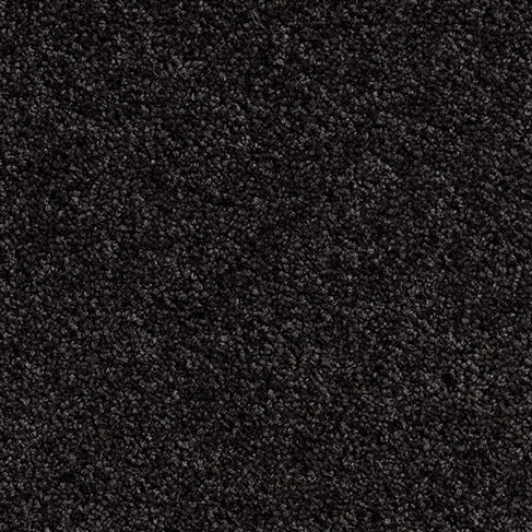 Solution Dyed Nylon, Cut Pile Twist dark almost black carpet swatch in Moon Rock from Pacific range. 