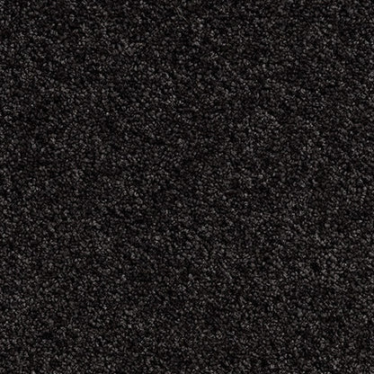 Solution Dyed Nylon, Cut Pile Twist dark almost black carpet swatch in Moon Rock from Pacific range. 