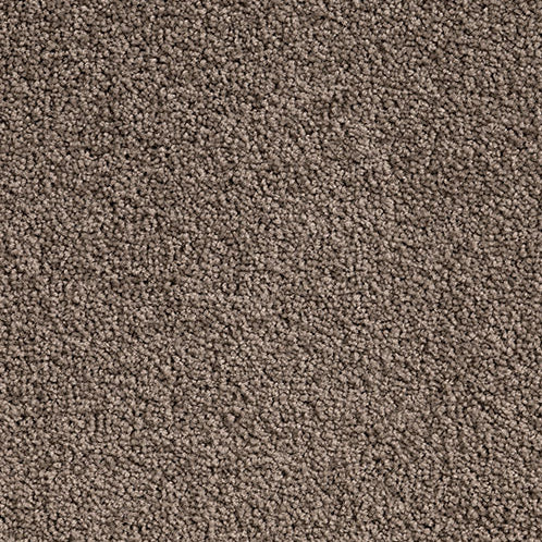 Solution Dyed Nylon, Cut Pile Twist brown carpet swatch in Nodica from Pacific range. 