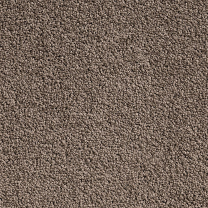 Solution Dyed Nylon, Cut Pile Twist brown carpet swatch in Nodica from Pacific range. 