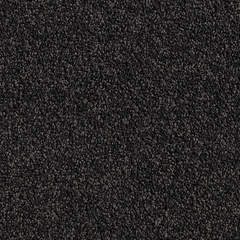 Solution Dyed Nylon, Cut Pile Twist black carpet swatch in Shadow from Pacific range. 