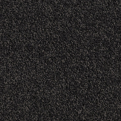 Solution Dyed Nylon, Cut Pile Twist black carpet swatch in Shadow from Pacific range. 