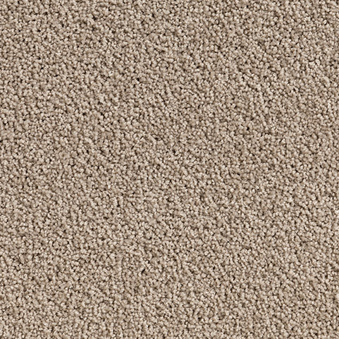 Solution Dyed Nylon, Cut Pile Twist beige carpet swatch in White Duck from Pacific range. 