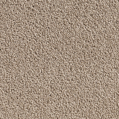 Solution Dyed Nylon, Cut Pile Twist beige carpet swatch in White Duck from Pacific range. 
