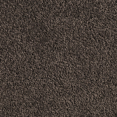 Solution Dyed Nylon, Cut Pile Twist brown carpet swatch in Winding Path from Pacific range. 