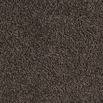 Solution Dyed Nylon, Cut Pile Twist brown carpet swatch in Winding Path from Pacific range. 