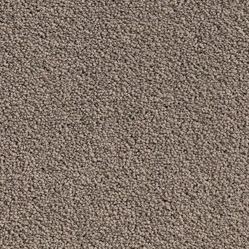 Solution Dyed Nylon, Cut Pile Twist light brown carpet swatch in Zinia from Pacific range. 