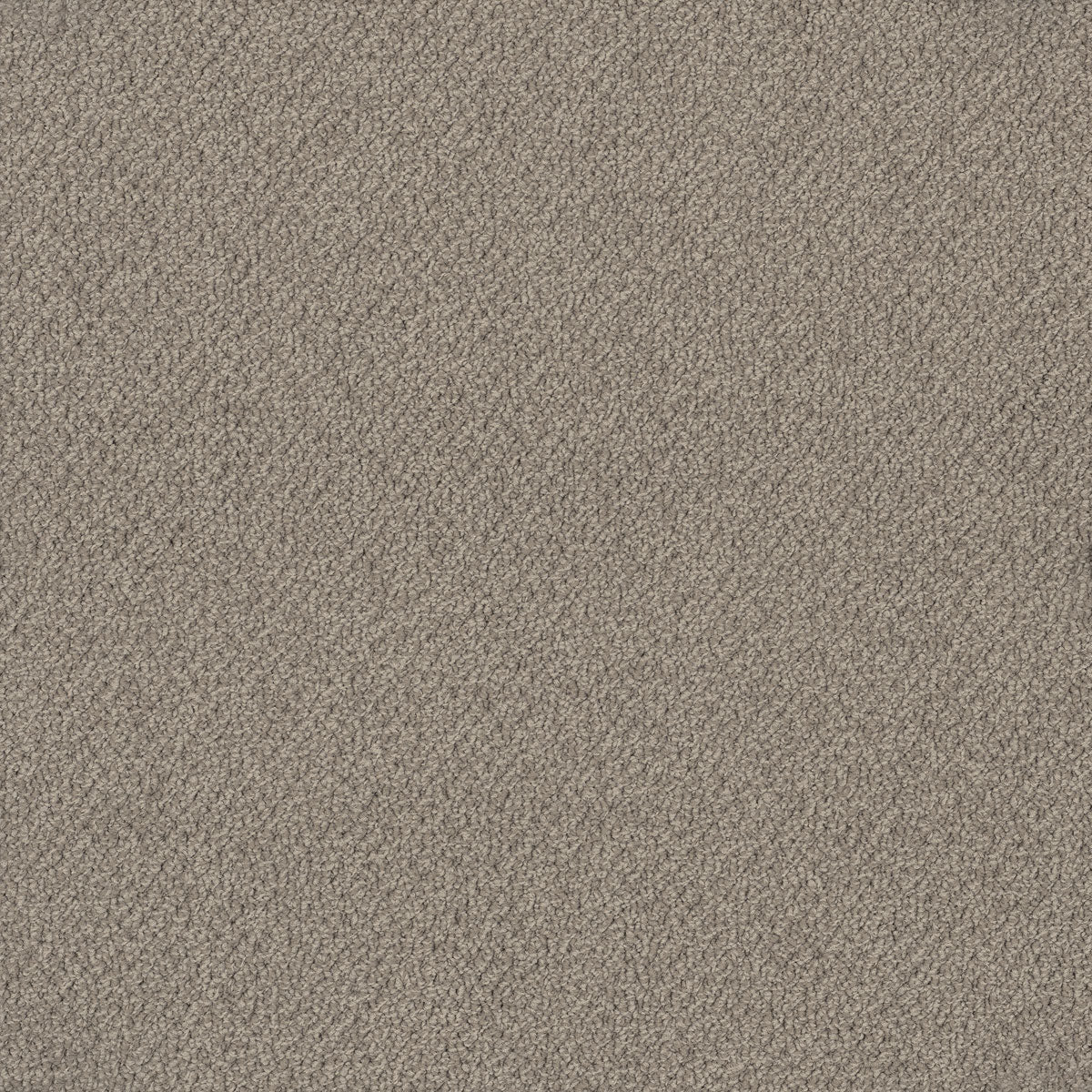 Bourkesgate Carpet