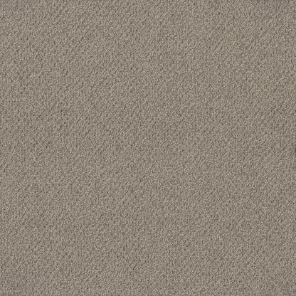 Bourkesgate Carpet
