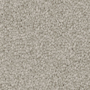 Close-up of a textured carpet Pewter.