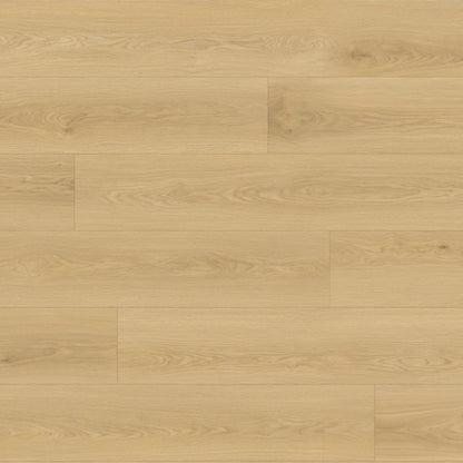 Queensland Oak Laminate Sale $20m²