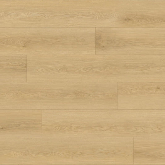 Queensland Oak Laminate Sale $20m²