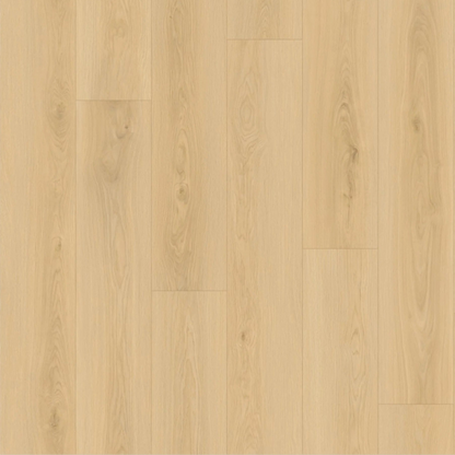 Queensland Oak Laminate Sale $20m²