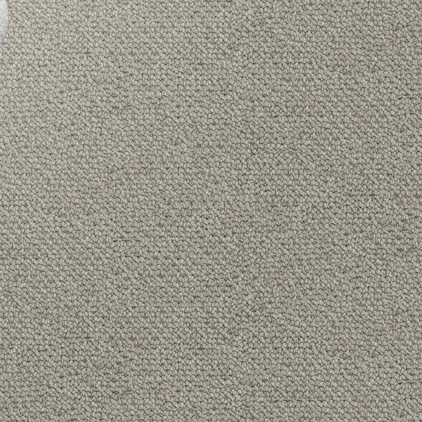 Close-up showing the chunky loop pile texture of solution dyed nylon carpet for family living spaces. Light Brown