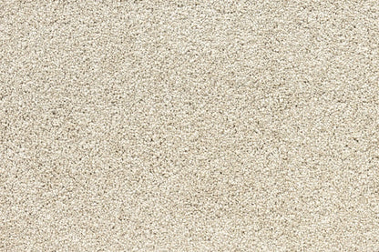 Bentley Plaza Carpet