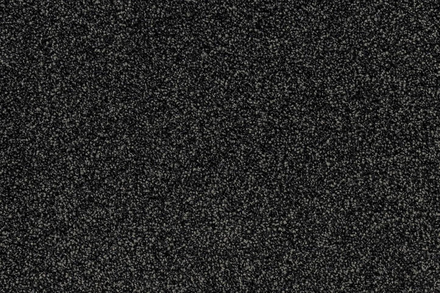 Bentley Plaza Carpet