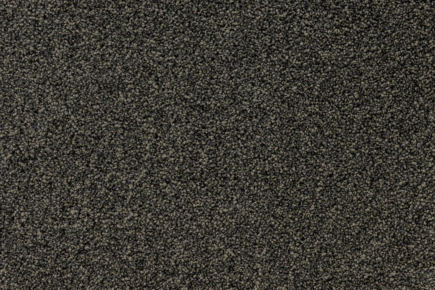 Bentley Plaza Carpet