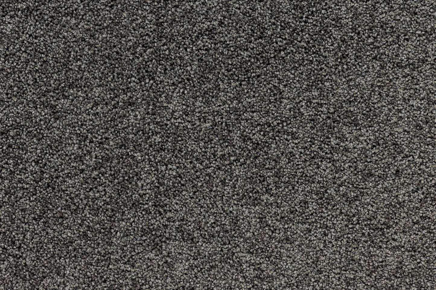 Bentley Plaza Carpet
