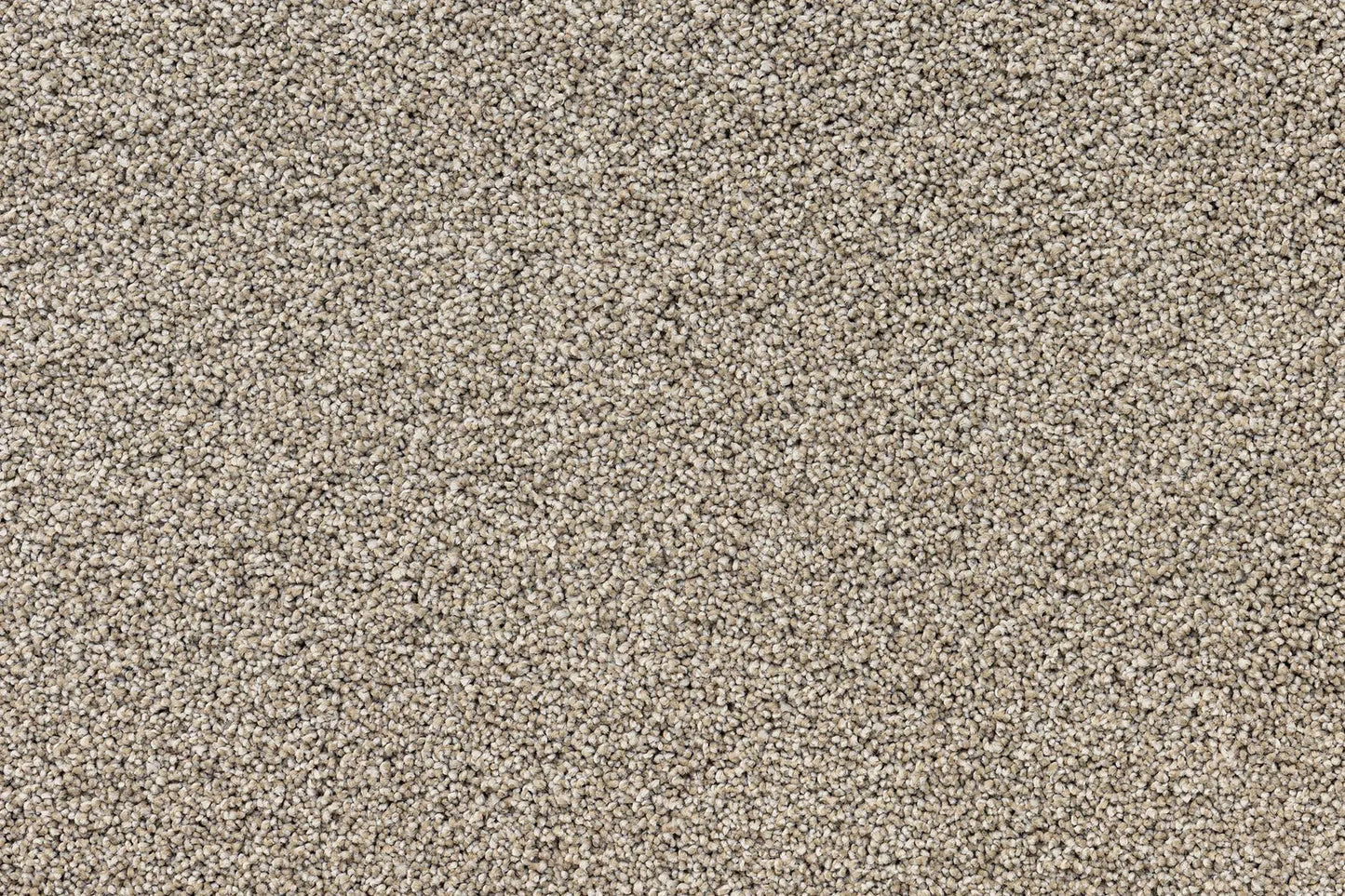 Bentley Plaza Carpet
