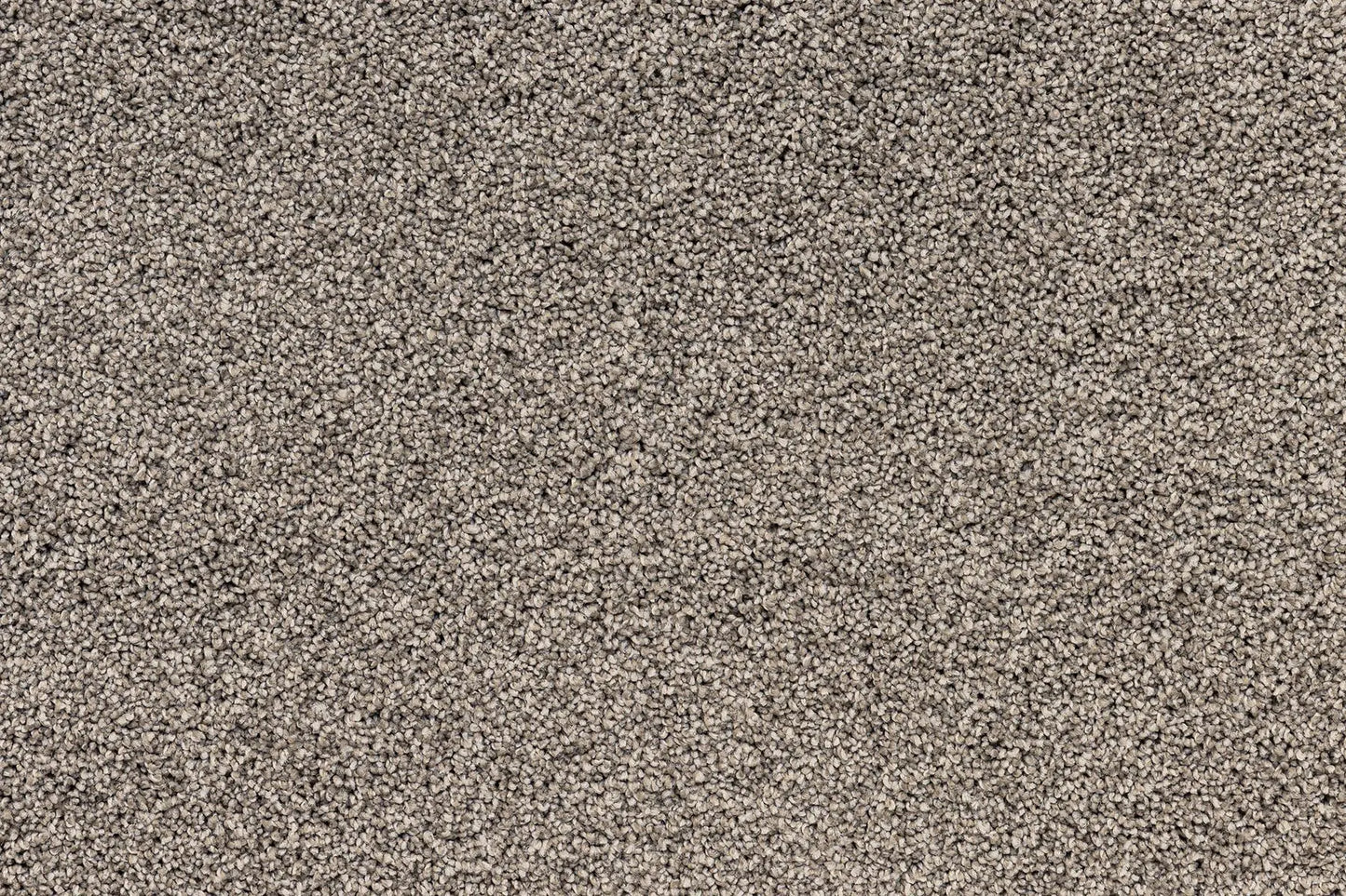 Bentley Plaza Carpet