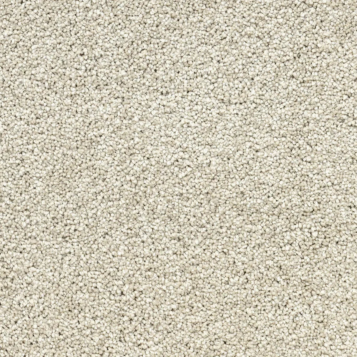 Close-up of beige carpet texture