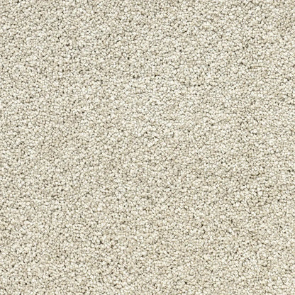Close-up of beige carpet texture