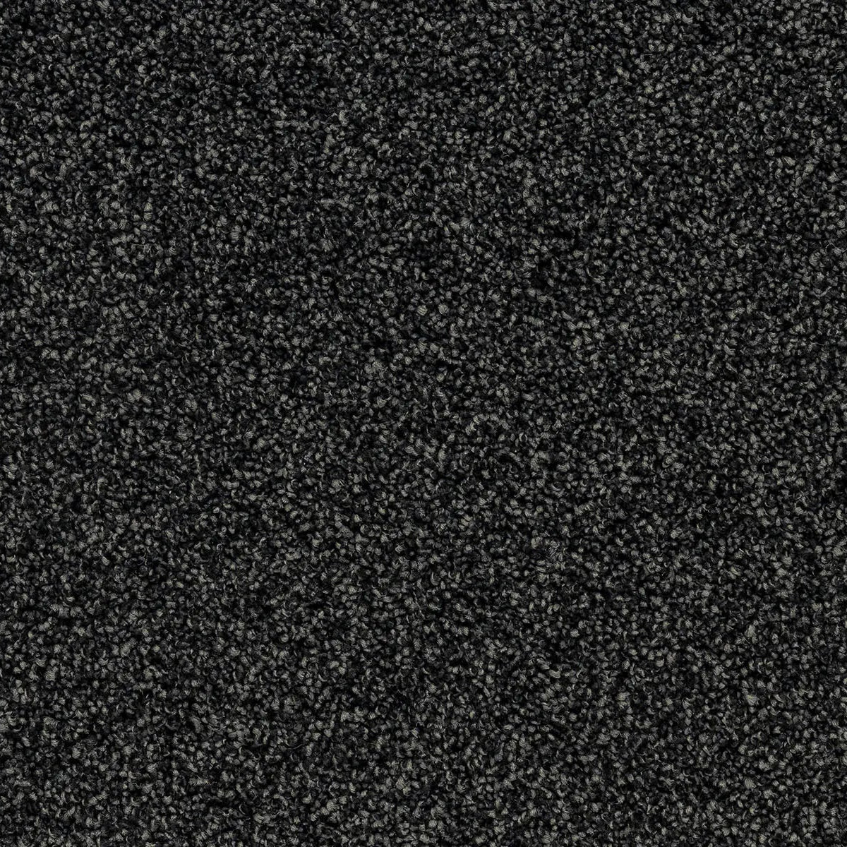 Close up of black flecked carpet.