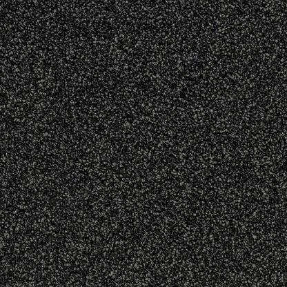 Close up of black flecked carpet.