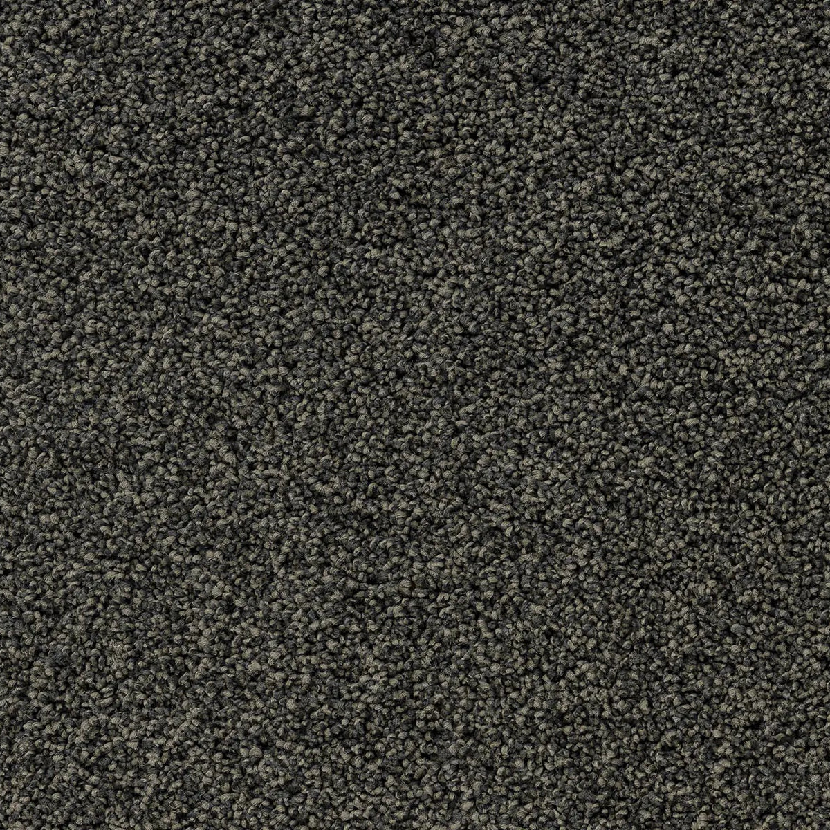 Close-up of dark gray flecked carpet.