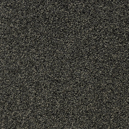Close-up of dark gray flecked carpet.