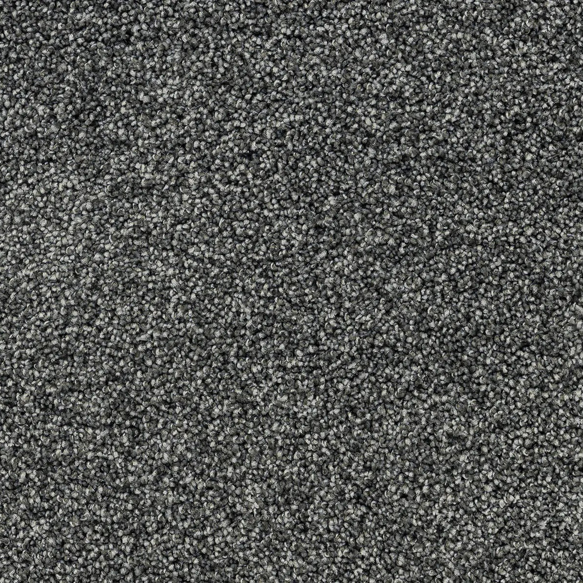 Close-up of grey flecked carpet.