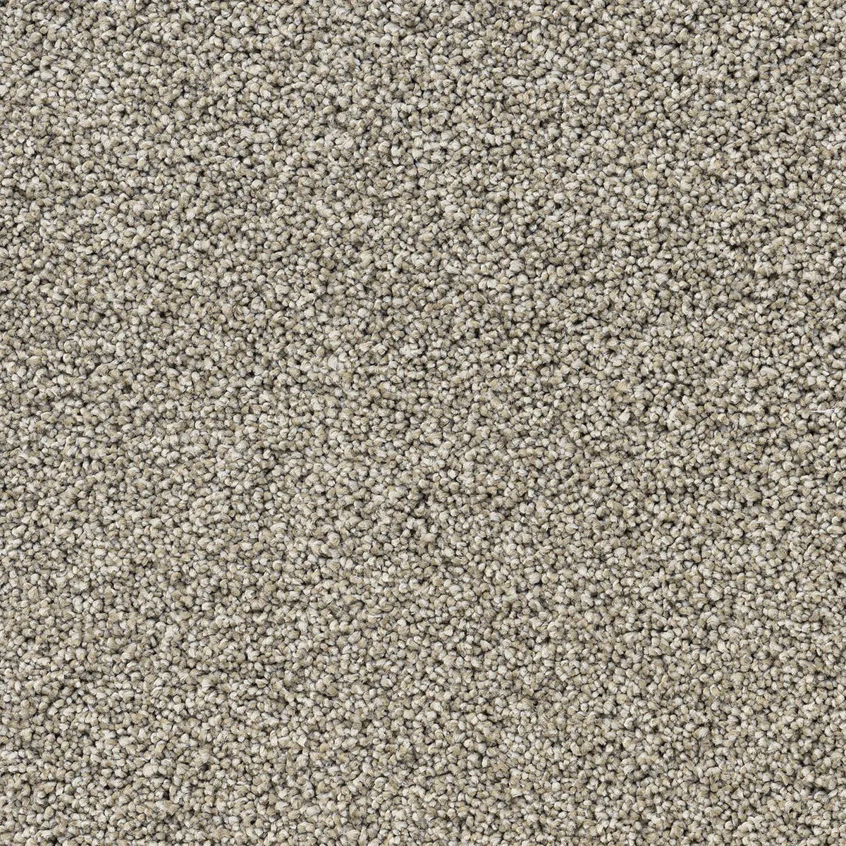 Close-up of beige carpet.