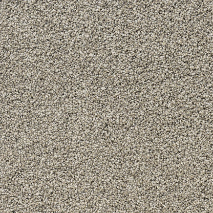 Close-up of beige carpet.