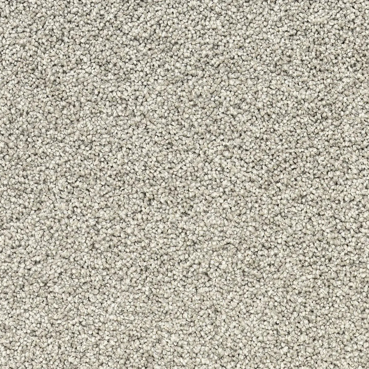 Close-up of a beige carpet.
