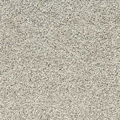 Close-up of a beige carpet.
