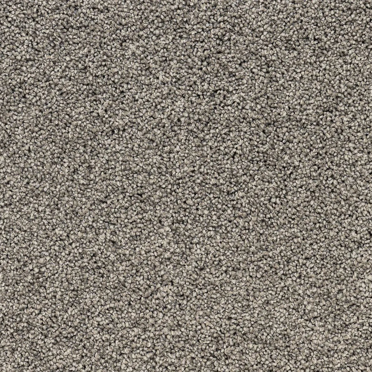 Close-up of beige carpet. 