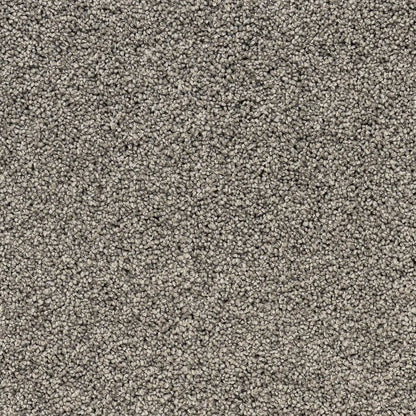 Close-up of beige carpet. 