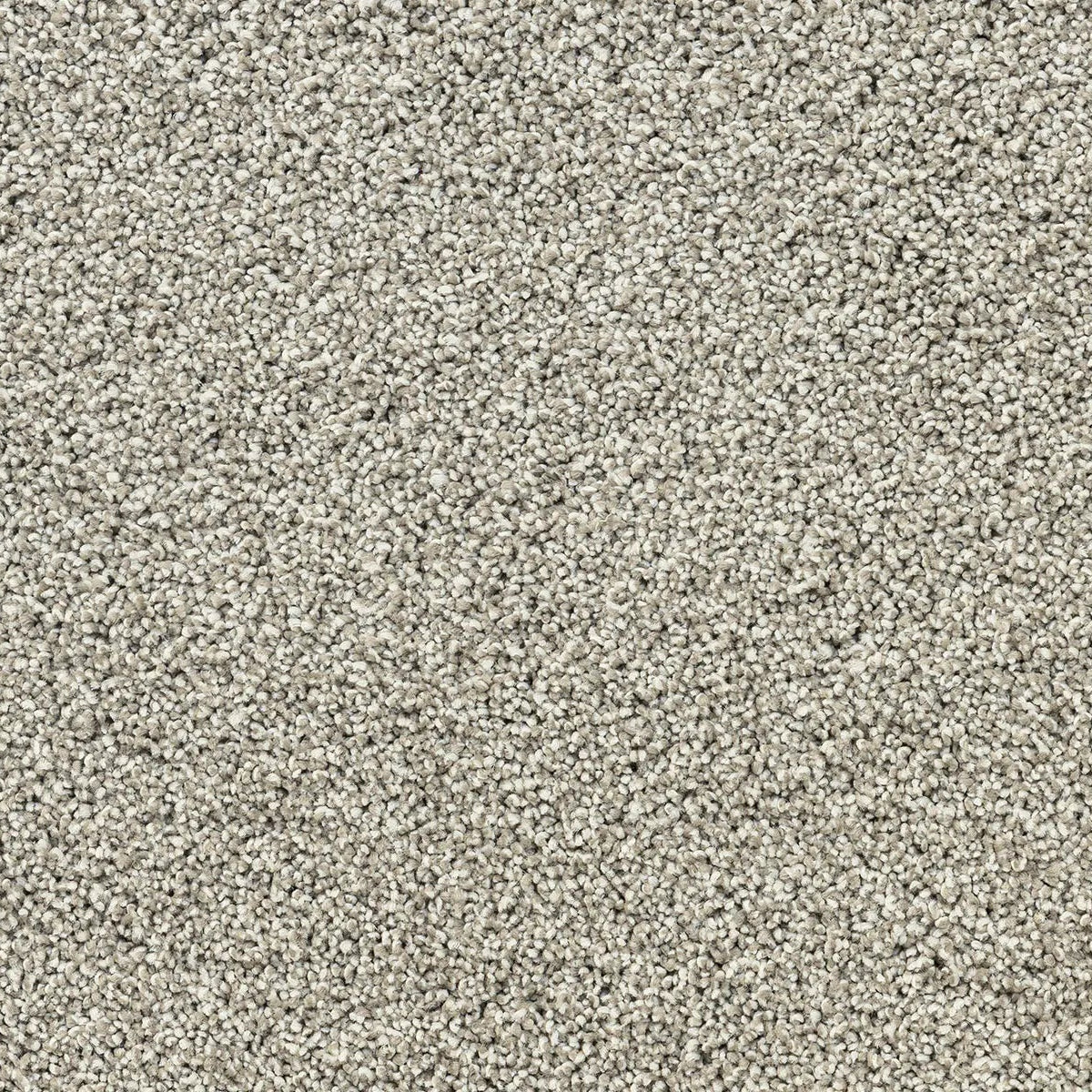 Close-up of light beige carpet