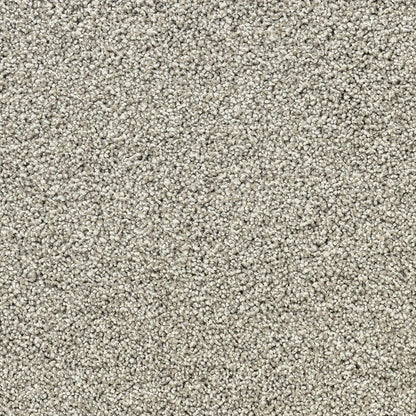 Close-up of light beige carpet