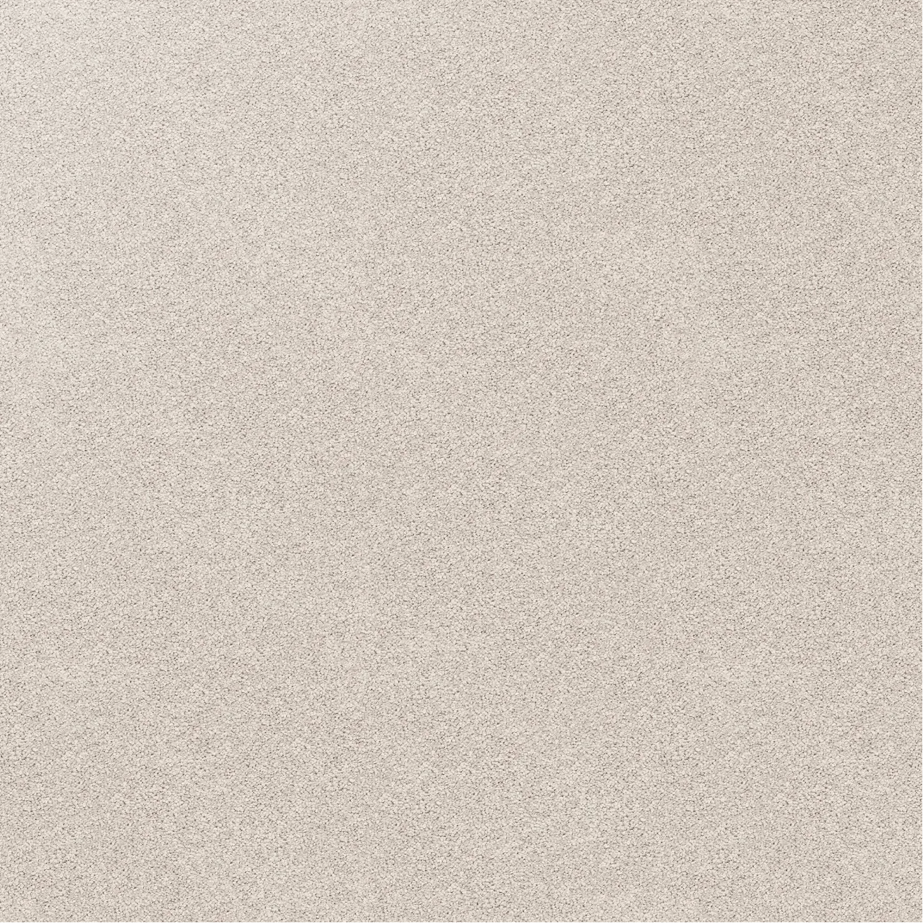 Sample of beige carpet Quartz.