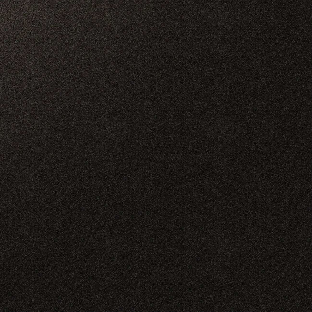 Textured carpet. black Raven. 