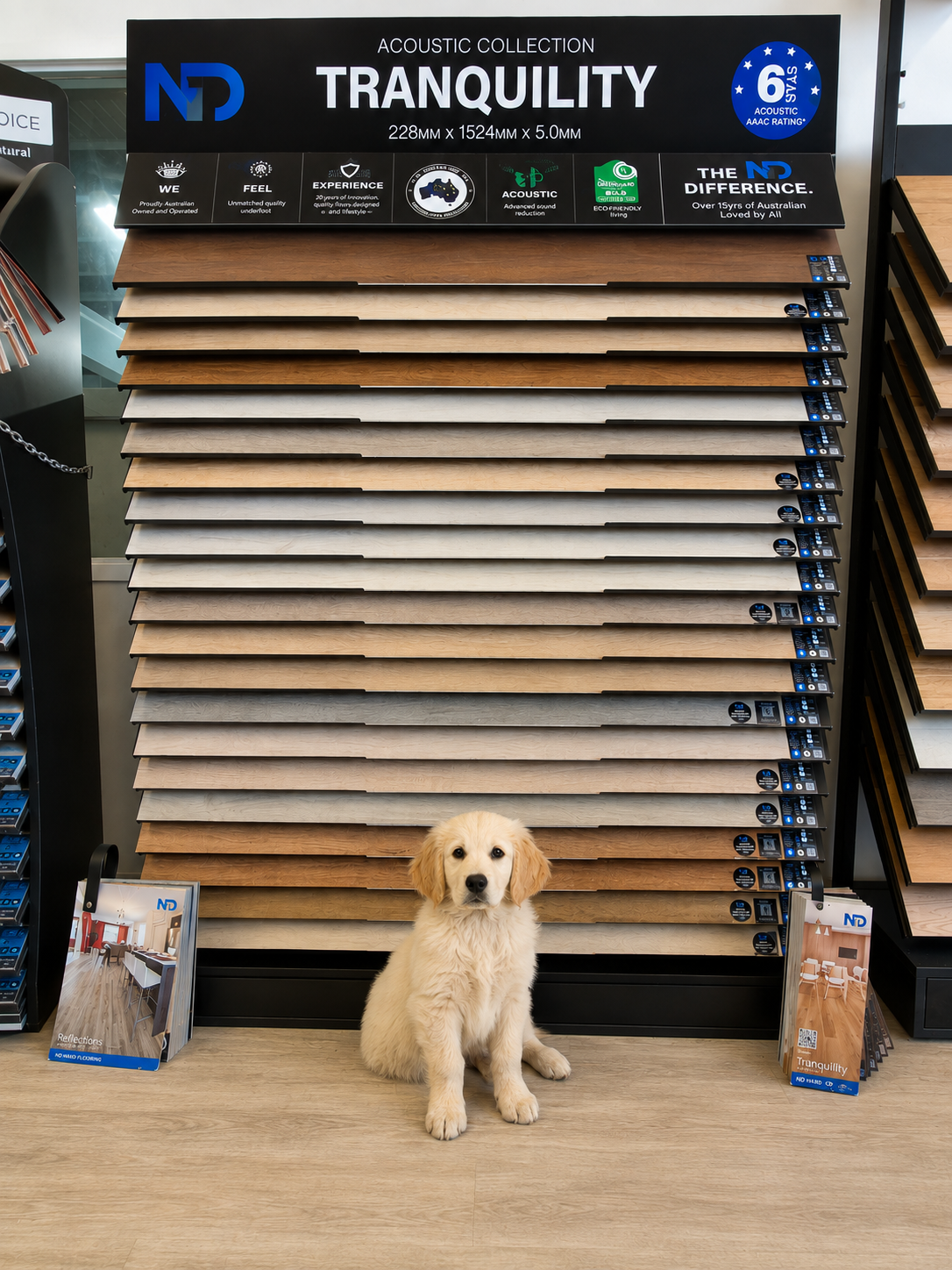 A golden retriever puppy sits in front of a large display rack of wood-look acoustic flooring samples under the brand name ND Tranquility, in a showroom setting.