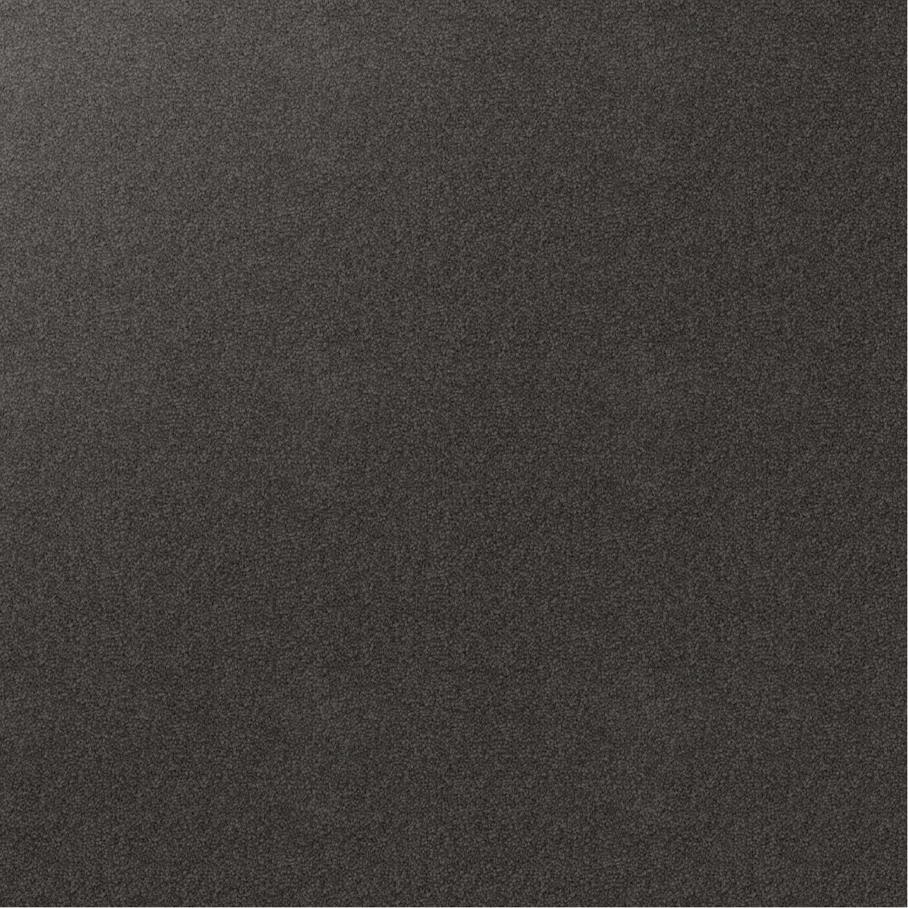 Textured Dark Grey Carpet, Shadow.