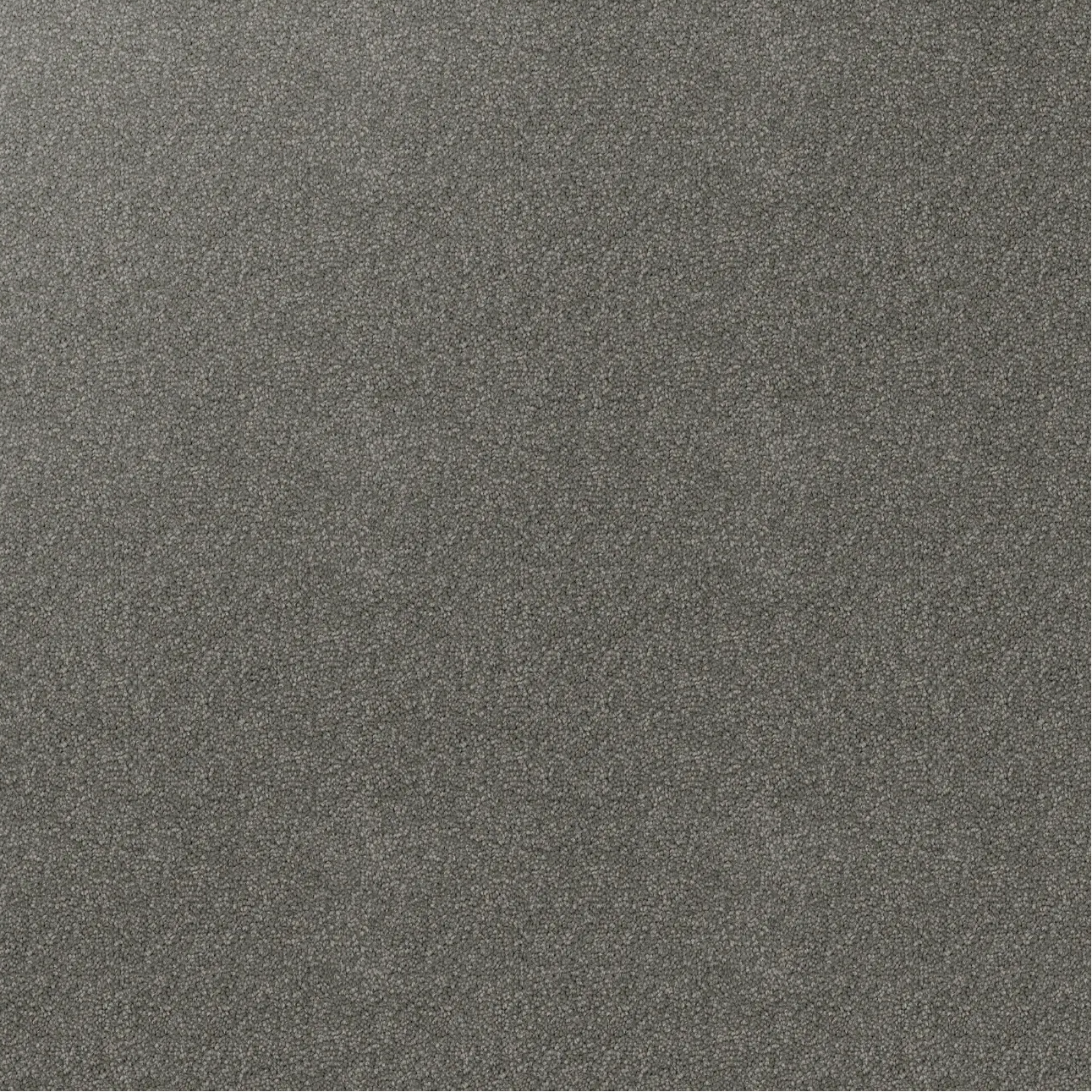 Grey textured Carpet, Shingle.
